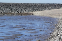 L19_058-Kopie-2